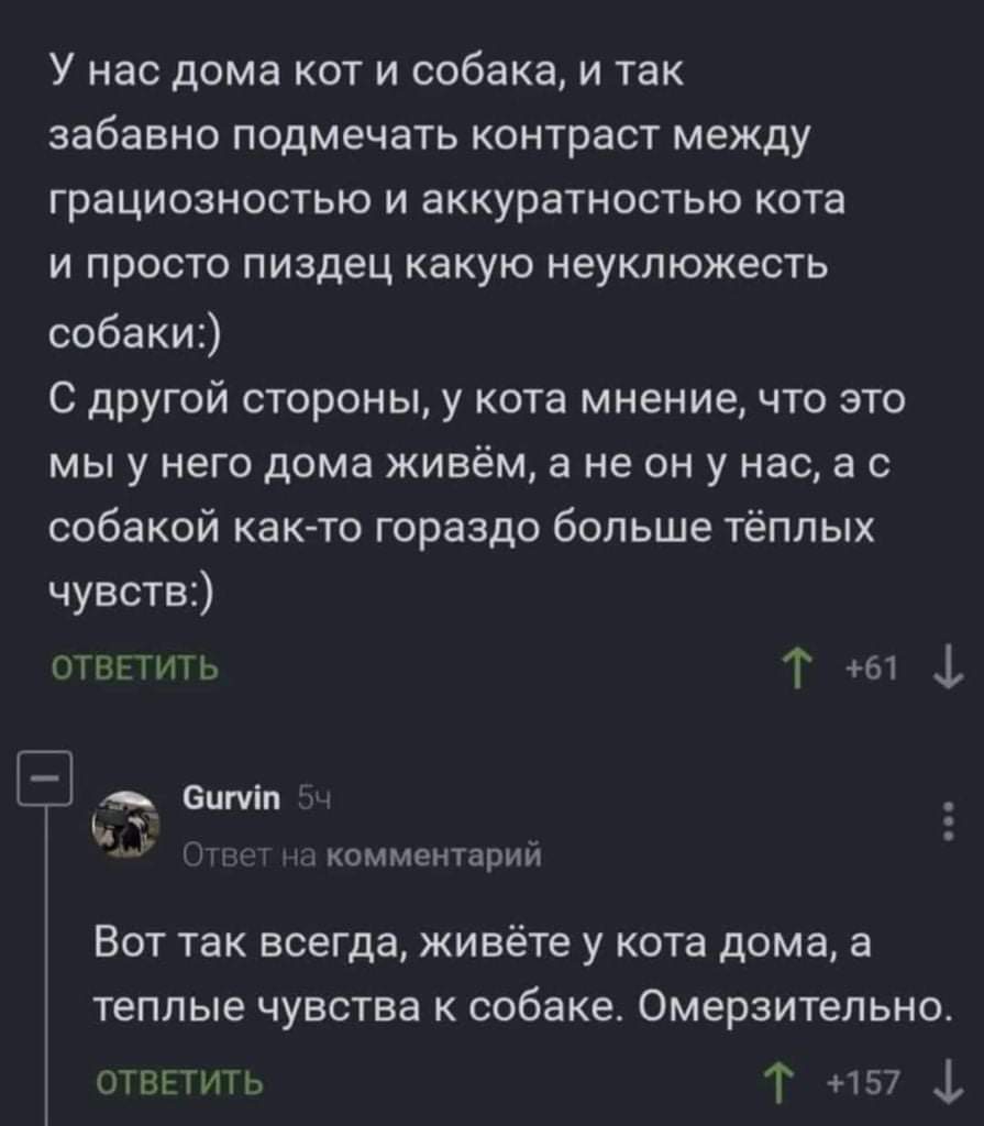 895x1024, 47 Kb / собака, кот, теплые чувства, омерзительно