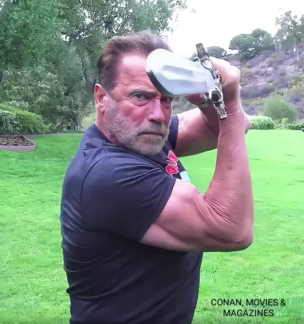 1052x1122, 116 Kb / Арнольд Шварценеггер, меч, Конан варвар