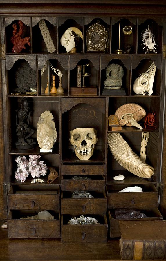 572x900, 97 Kb / шкафчик, полки, ящики, скелеты, кости, черепа, камни, минералы, друзы, книга