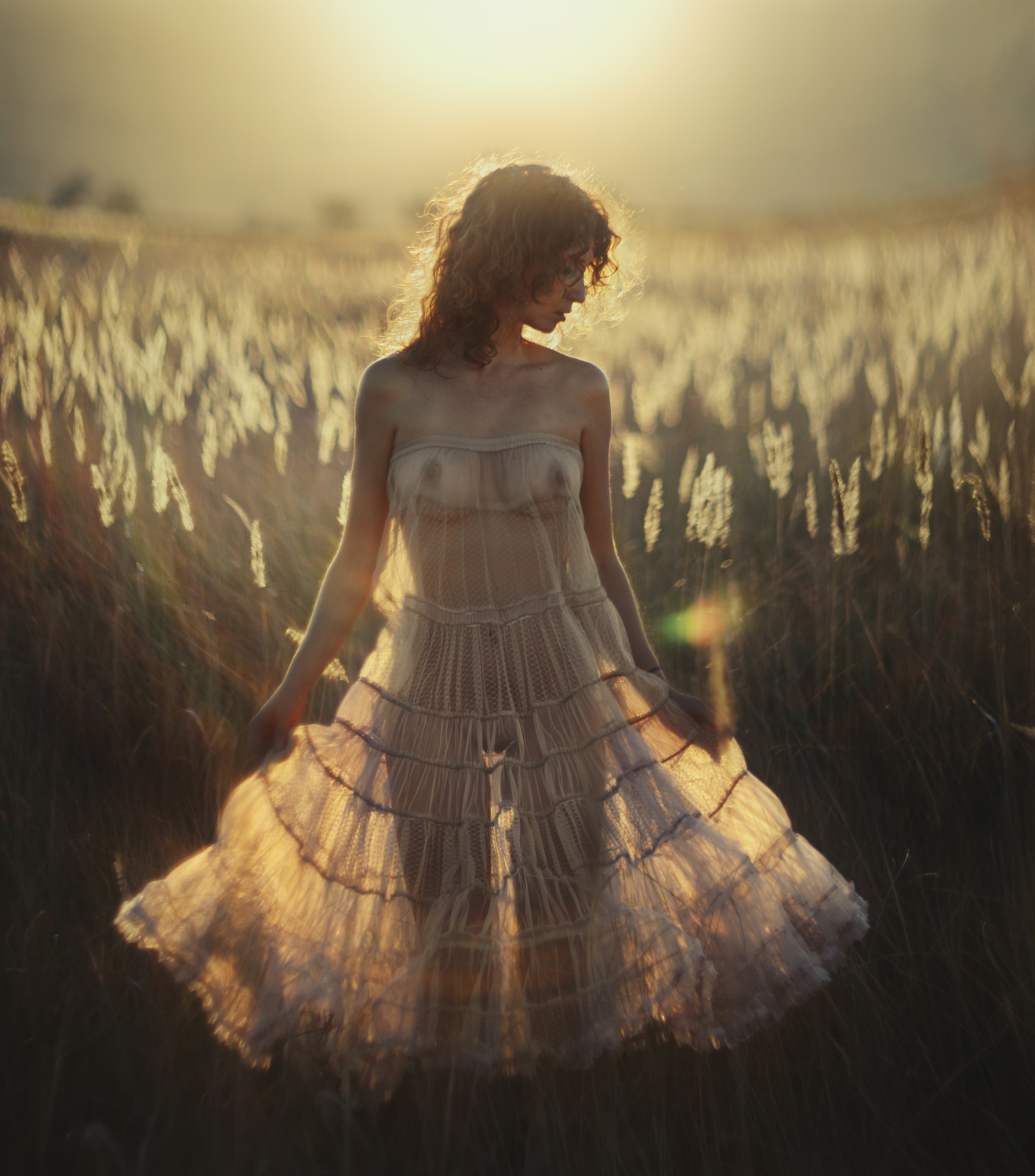 1320x1500, 519 Kb / рыжая, платье, прозрачное, поле, трава, Давид Дубницкий, David Dubnitskiy