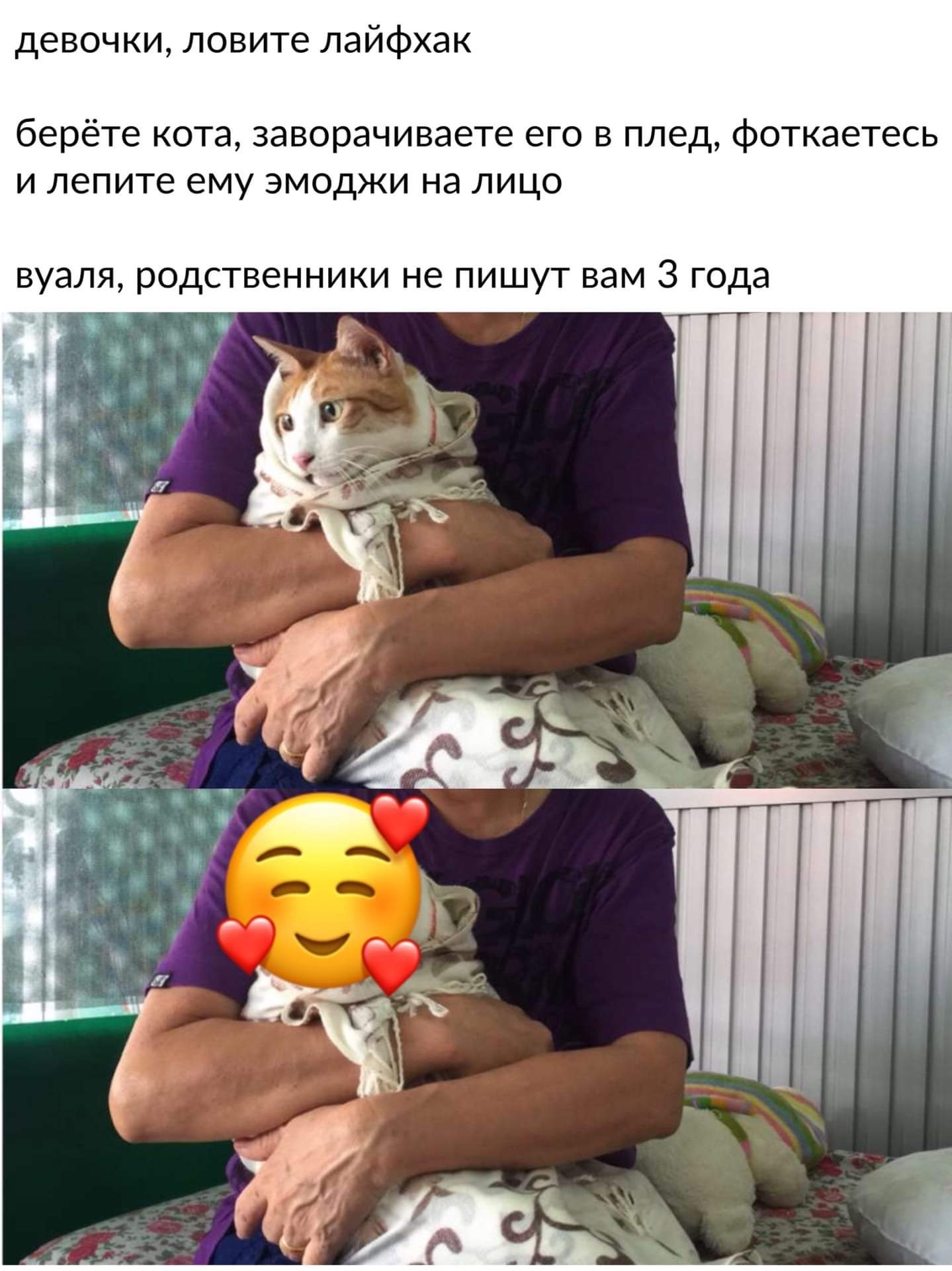 1439x1920, 172 Kb / Кот, пелёнки, ребёнок, смайлик, эмоджи, руки