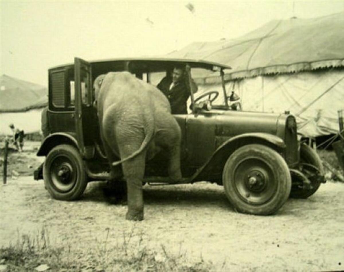 1200x948, 93 Kb / слон, мужчина, автомобиль, ч/б, Harry A. Atwell