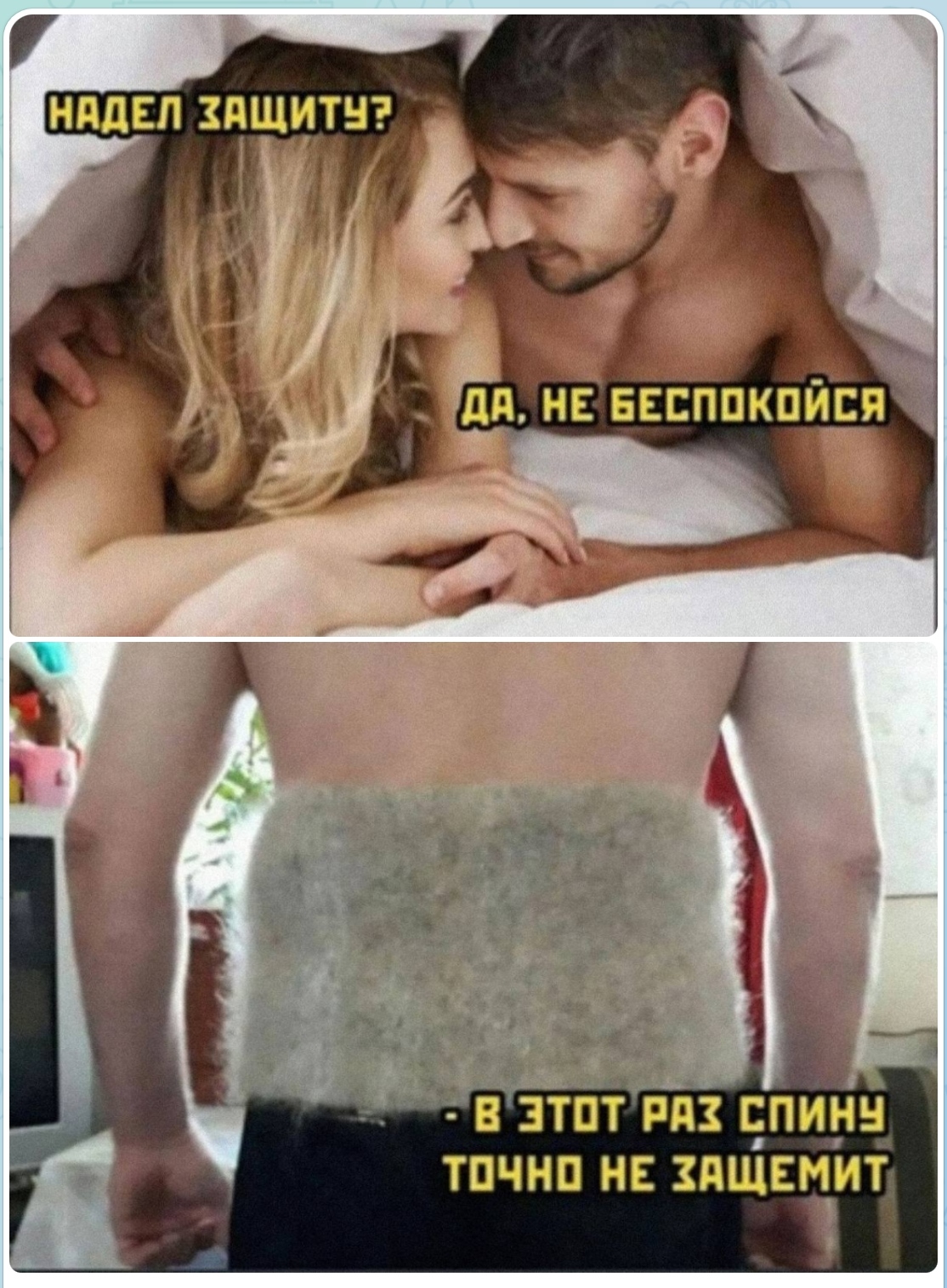 1114x1515, 630 Kb / Собачий пояс, защита, кровать, одеяло, спина