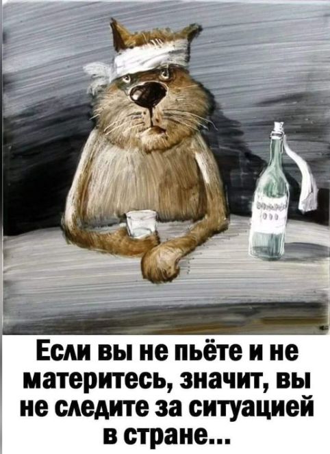 482x662, 59 Kb / волк, бухло, кот, бутылка, повязка, стол, стакан