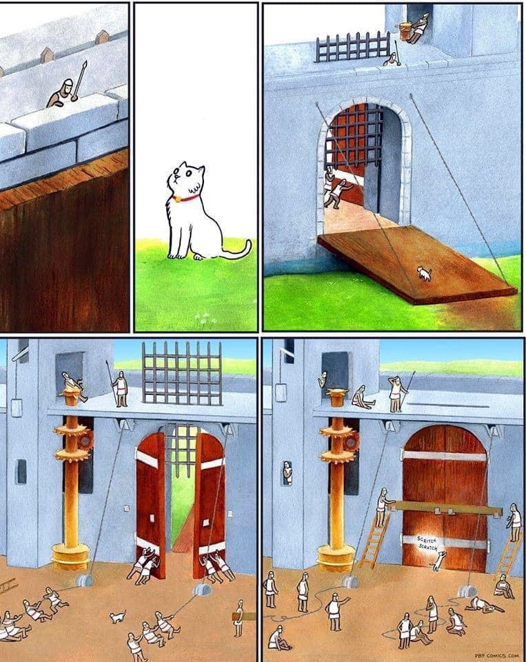 763x960, 274 Kb / ворота, двери, кот, кошка, замок