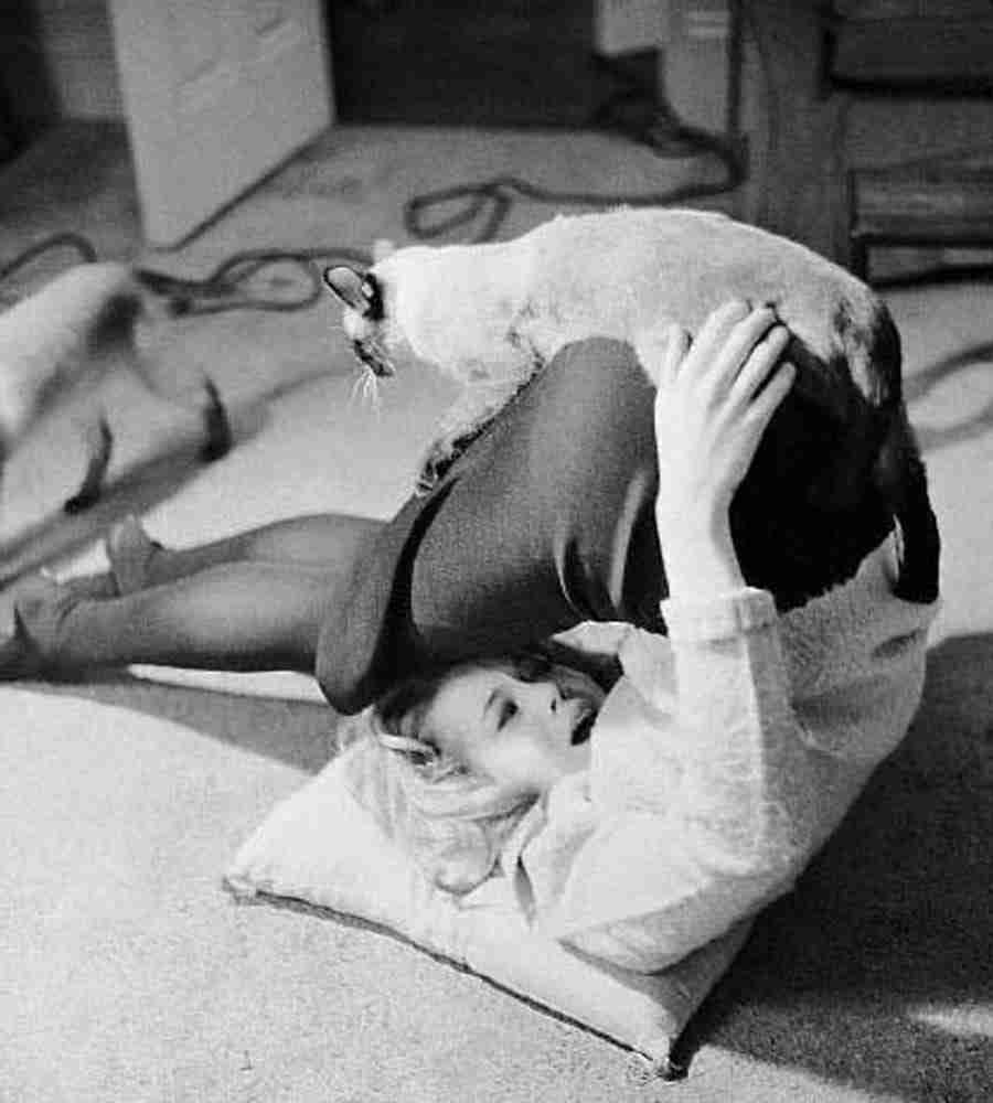 900x1000, 37 Kb / женщина, кот, поза, ч/б