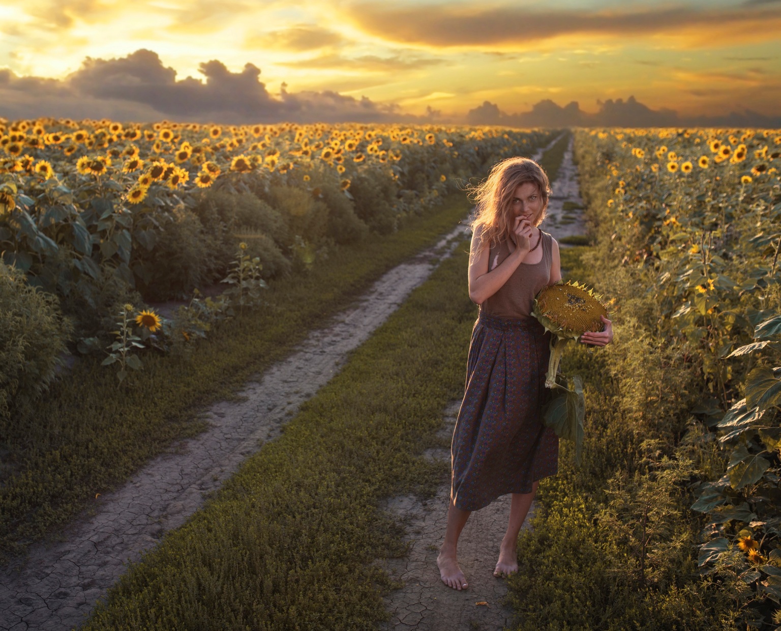 1536x1240, 597 Kb / девушка, дорога, поле, подсолнухи, Давид Дубницкий, David Dubnitskiy