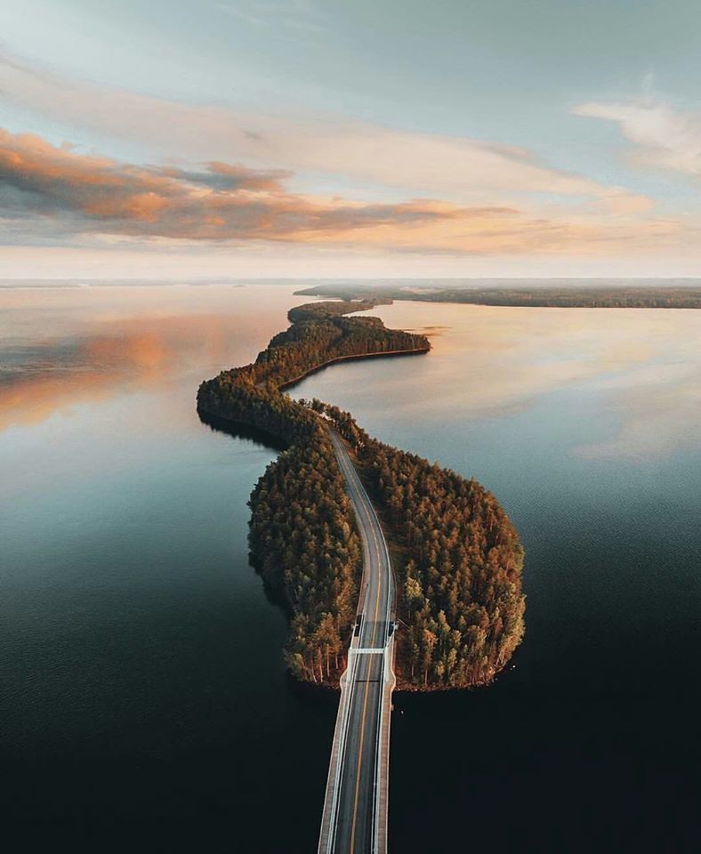 788x960, 70 Kb / дорога, лес, водоём, мост