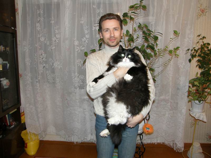 800x600, 80 Kb / Mr. DIM, кот