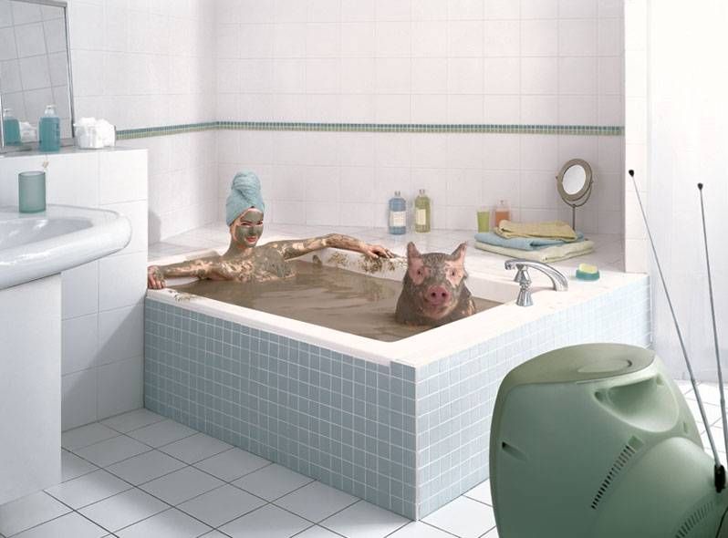 798x590, 51 Kb / свиньи, ванна, грязь