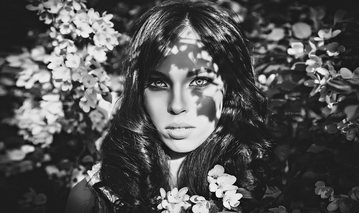 1200x712, 297 Kb / дерево, цветы, ч/б, глаза, взгляд