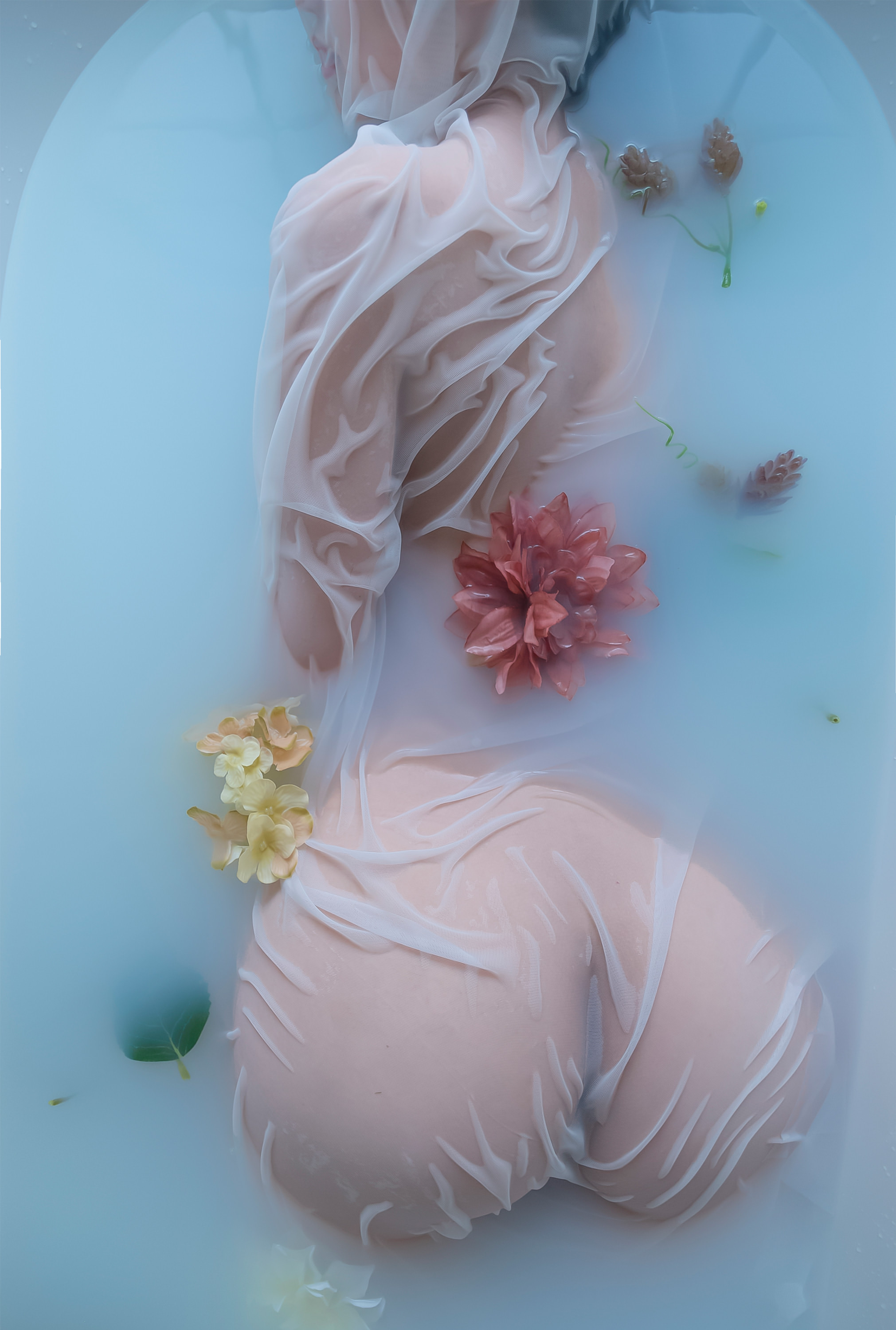 2021x3000, 556 Kb / ванна, ткань, мокрая, цветы, азиатка