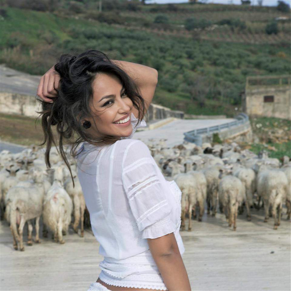 960x960, 274 Kb / Овцы, отара, Madalina Ghenea