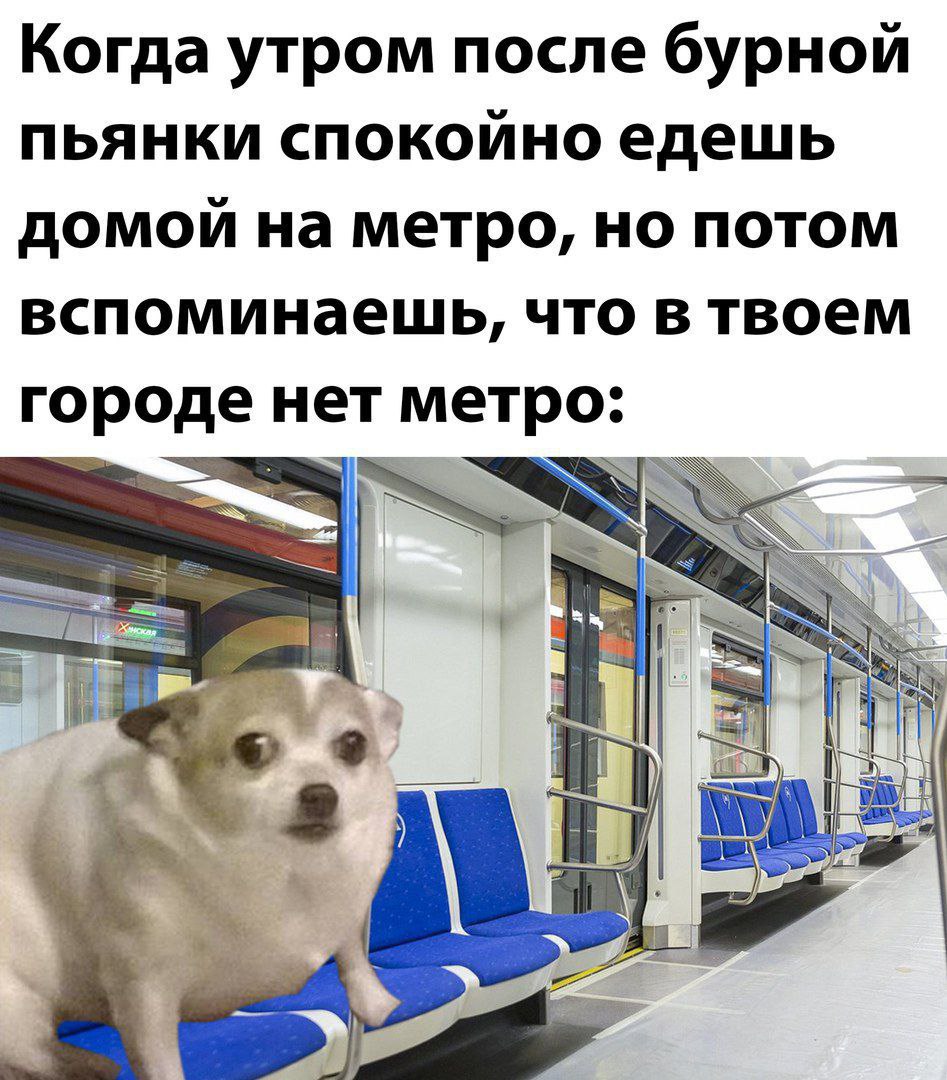 947x1080, 198 Kb / Метро, вагон, пёс