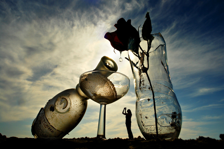 900x600, 112 Kb / ваза, роза, бутылка, бокал, девушка