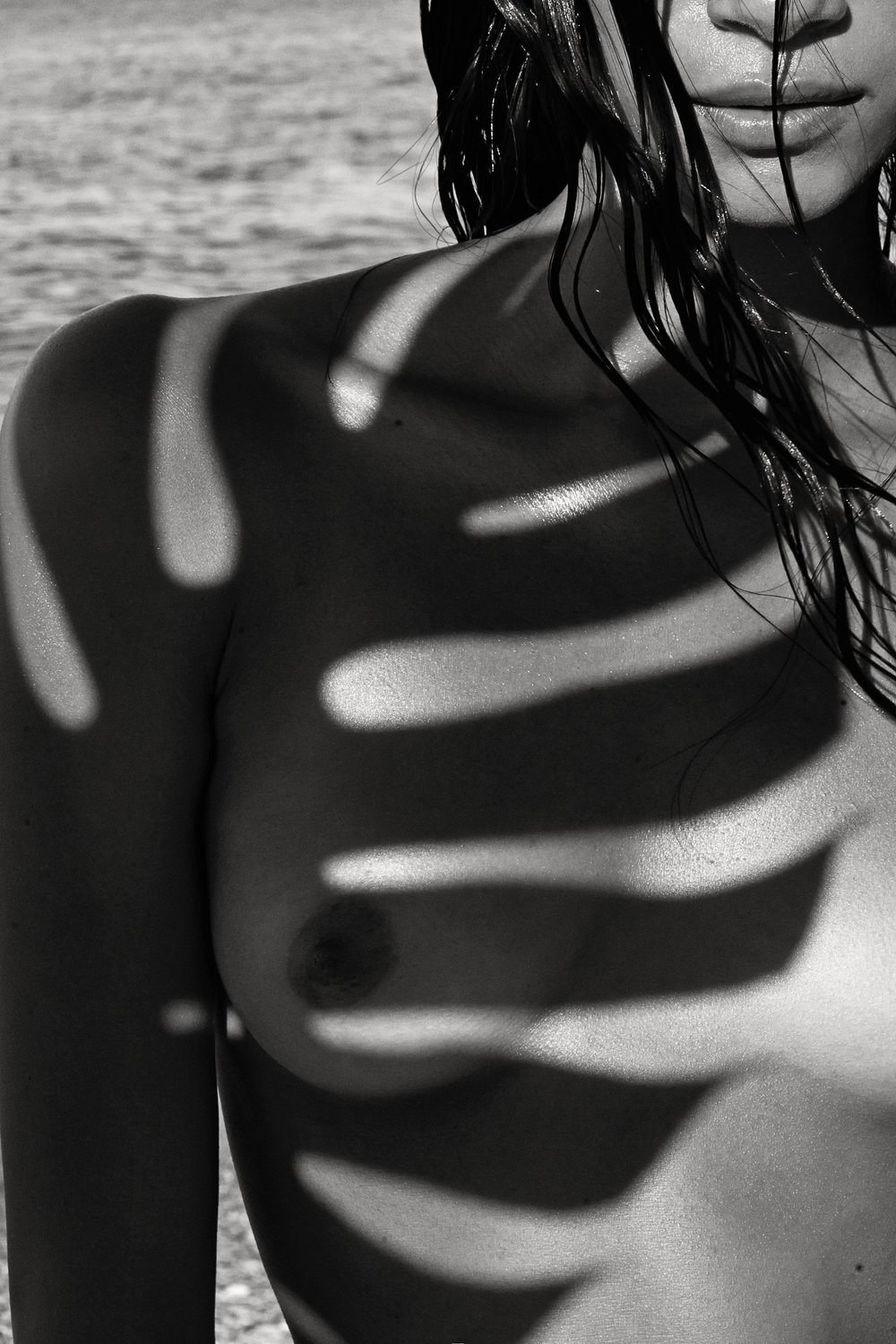 1000x1500, 254 Kb / ч/б, голая, тень, листья, пальма, Juana Burga