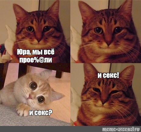 463x435, 46 Kb / кот, Юра, секс