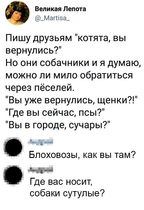 613x892, 99 Kb / котята, собака, собачники, щенки, друзья, пес, обращение