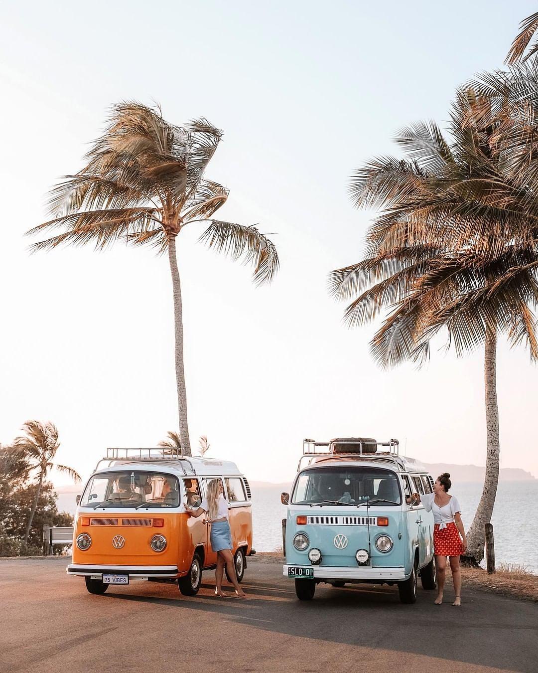 1080x1350, 230 Kb / пальма, авто, водоём, стоянка