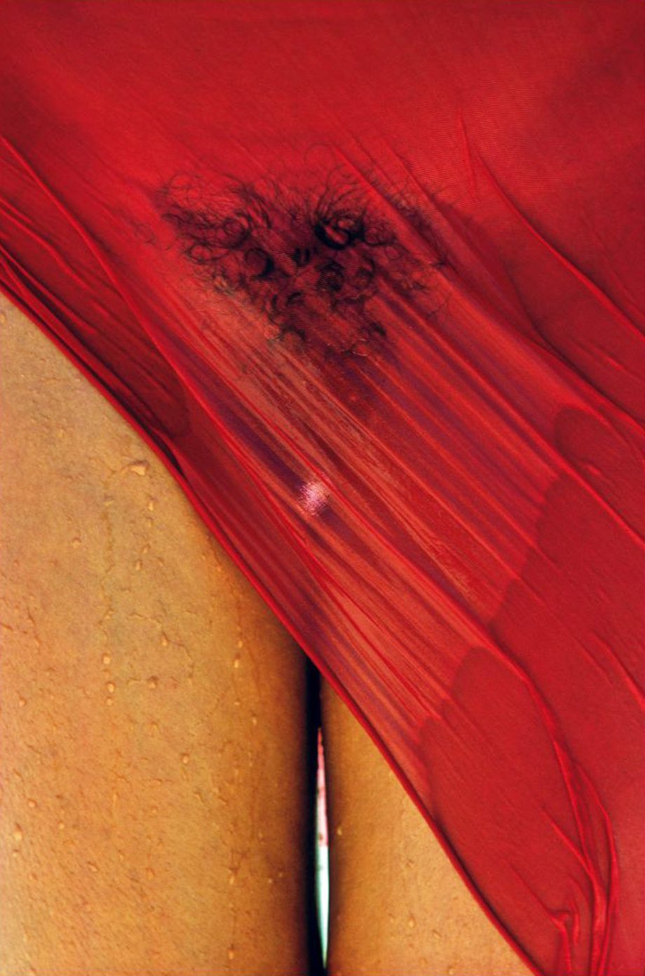 920x1391, 158 Kb / ноги, красное, прозрачное, мокрое, капли, мохнатка, каракуль