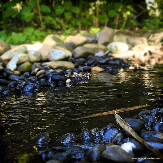 540x540, 354 Kb / ручей, вода, камень, гиф