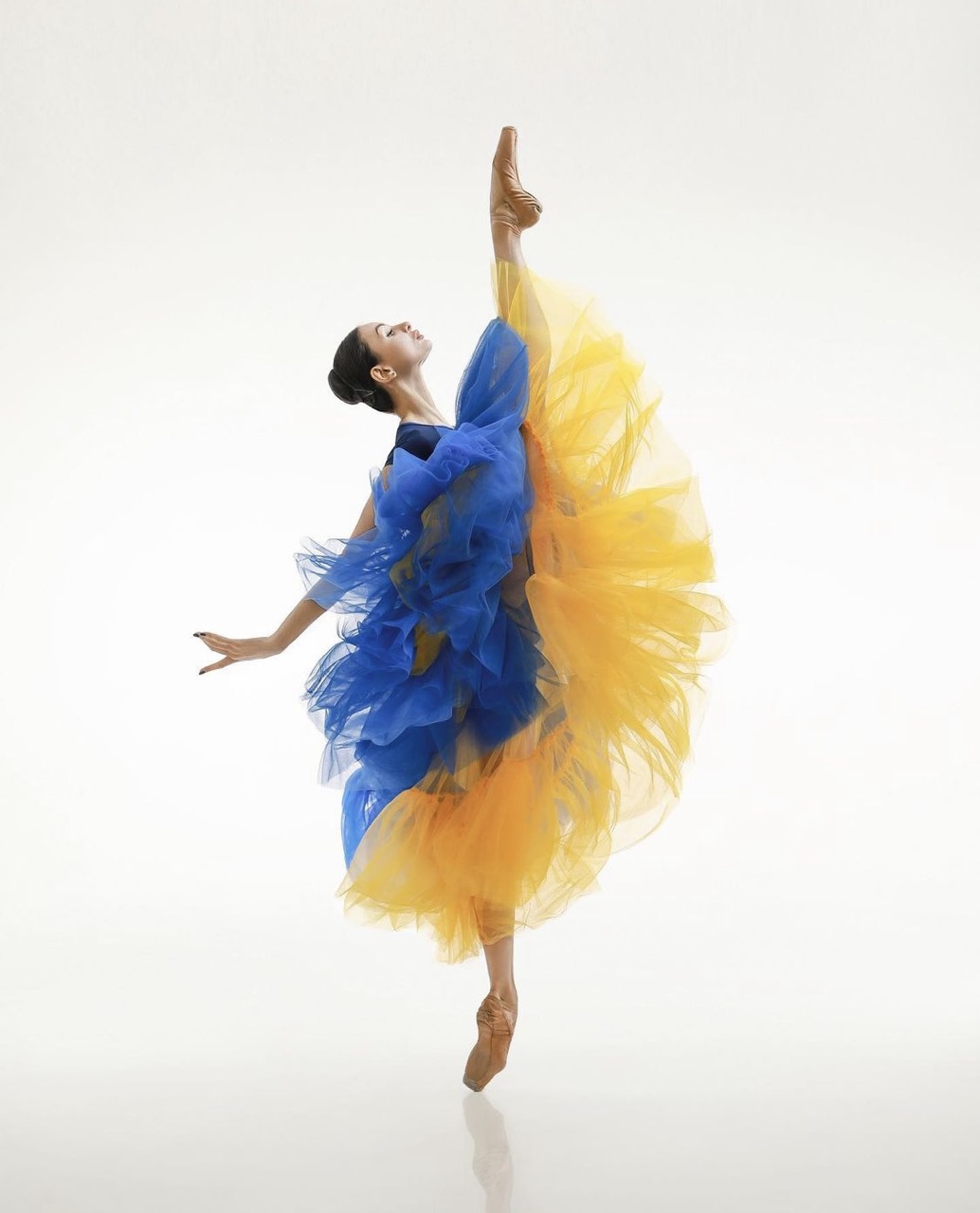 1034x1280, 112 Kb / балерина, пуанты, пачка, шопенка