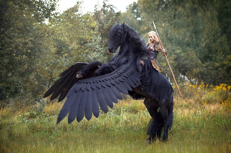 740x492, 193 Kb / Конь, пегас, наездница, Дарья Лефлер