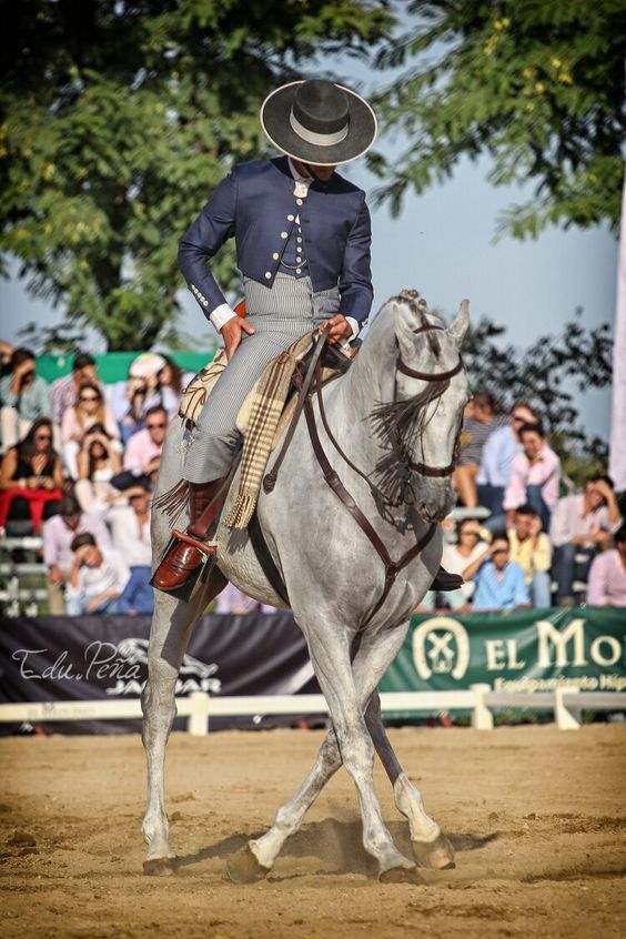 564x846, 100 Kb / жокей, конь, лошадь