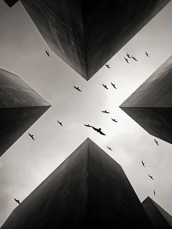 550x731, 36 Kb / высотки, здания, небо, птицы, ч/б