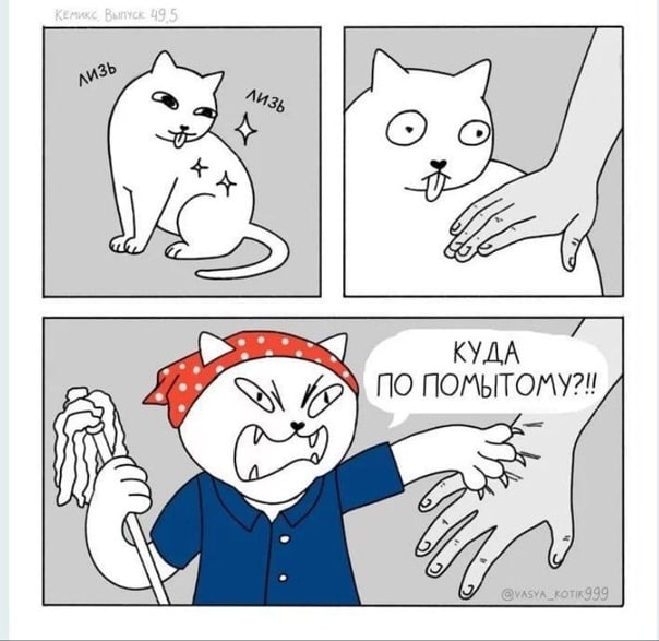 604x587, 51 Kb / кот, умывание, уборщица