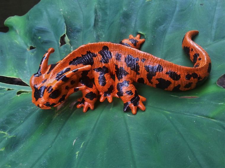 760x570, 69 Kb / дракон, амфибия, огненная, саламандра, лист, Bryre Rehm