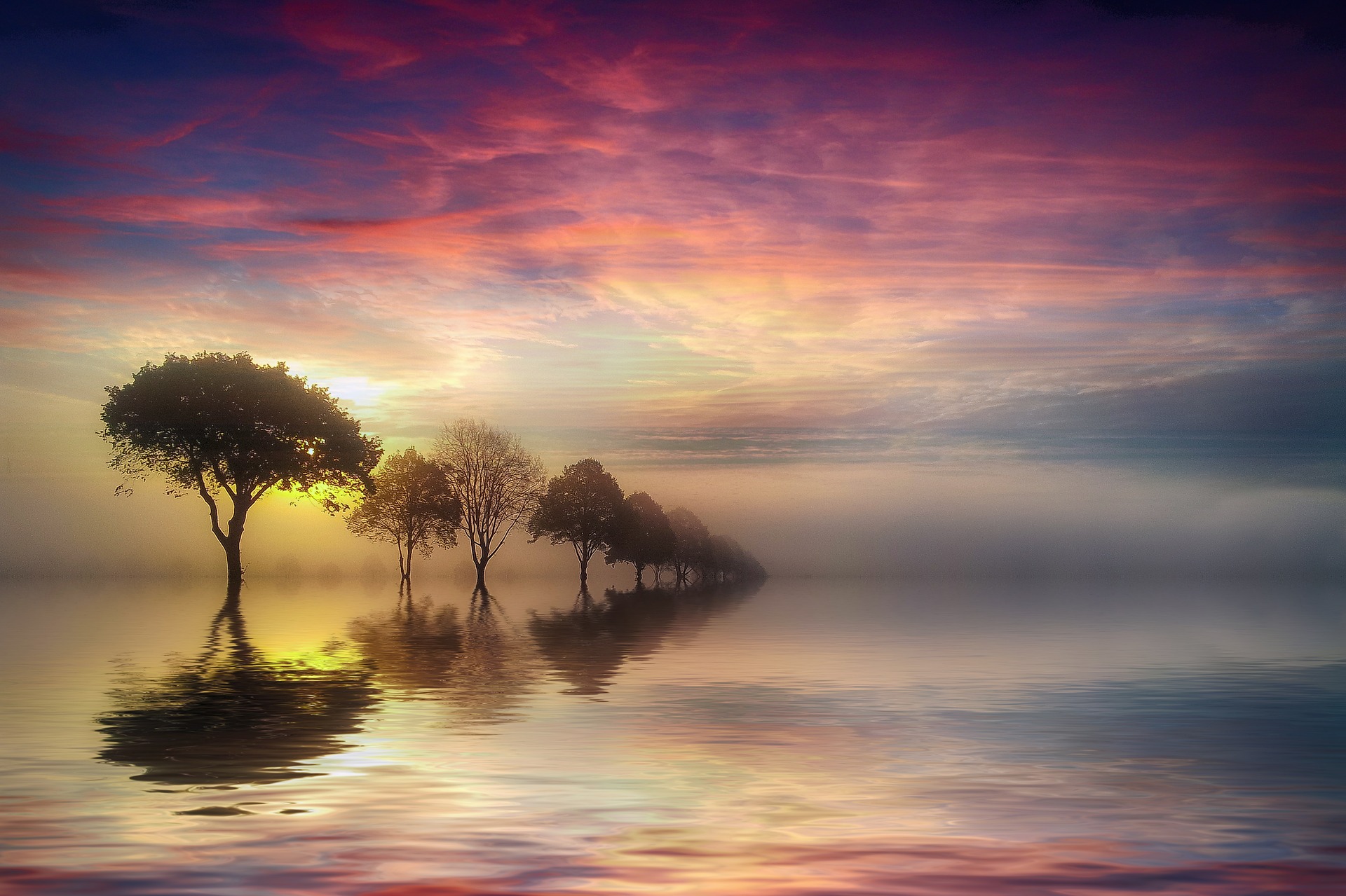 1920x1279, 470 Kb / деревья, вода, небо, облака, рассвет, туман