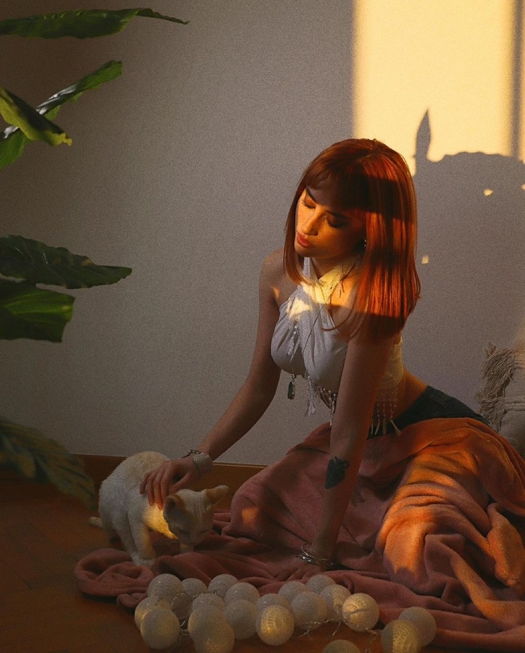 740x920, 223 Kb / кошка, рыжая, мячики, гирлянда