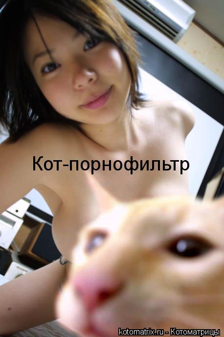 458x688, 33 Kb / котоматрица