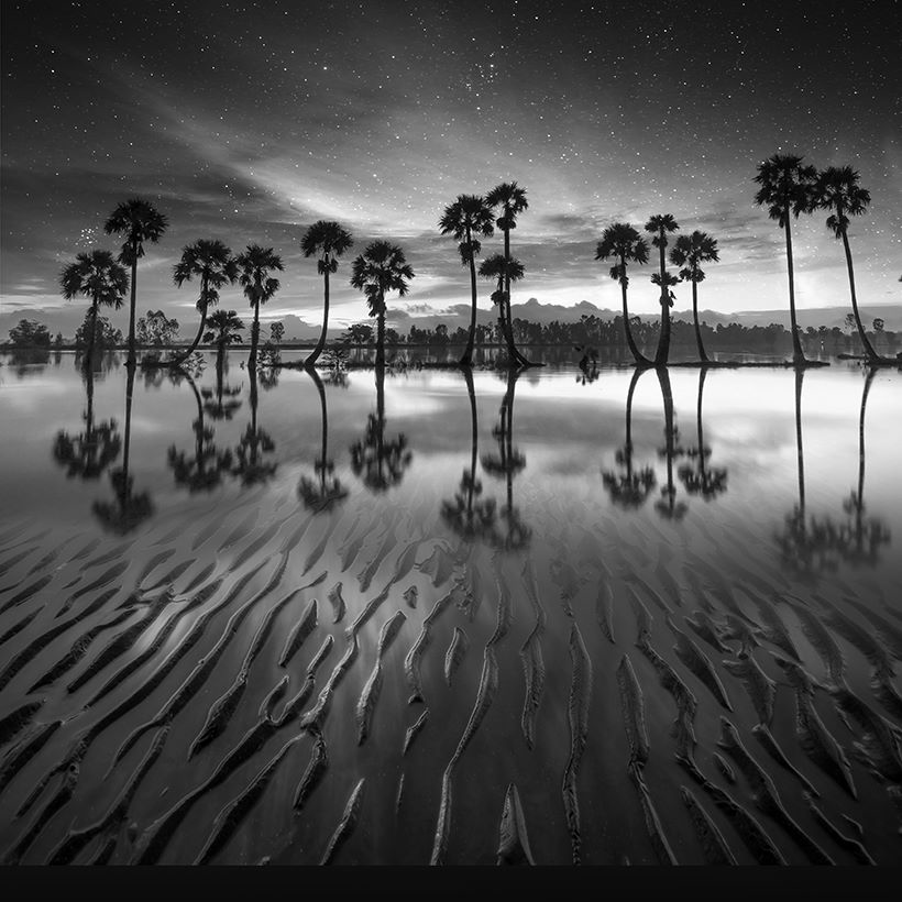 820x820, 529 Kb / вода, деревья, отражение, небо, звезды, ночь, ч/б