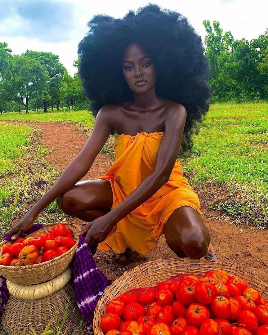 864x1080, 511 Kb / афро, корзина, нергитянка, помидоры, Hamamat Montia