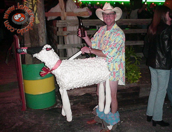 588x453, 73 Kb / овечка, пиво, шляпа, трусы