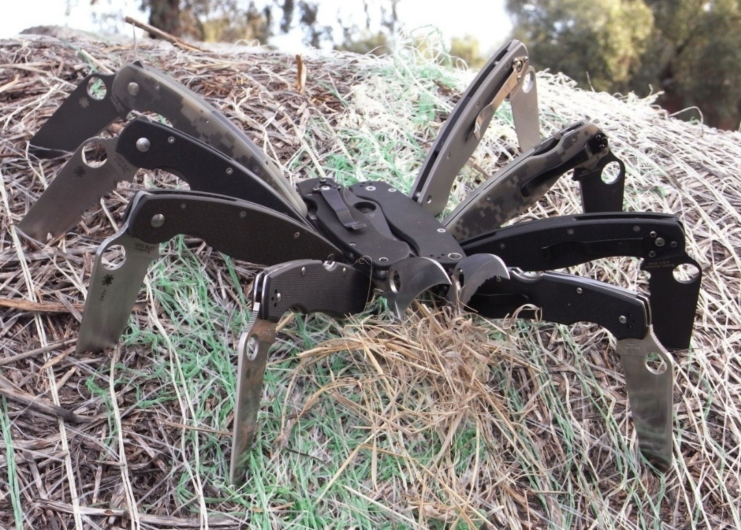 1080x772, 481 Kb / spyderco, ножи, паук