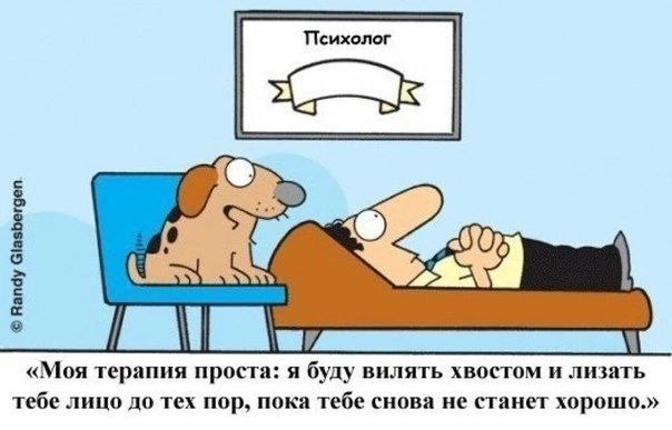 604x387, 38 Kb / терапия, психолог, пёс