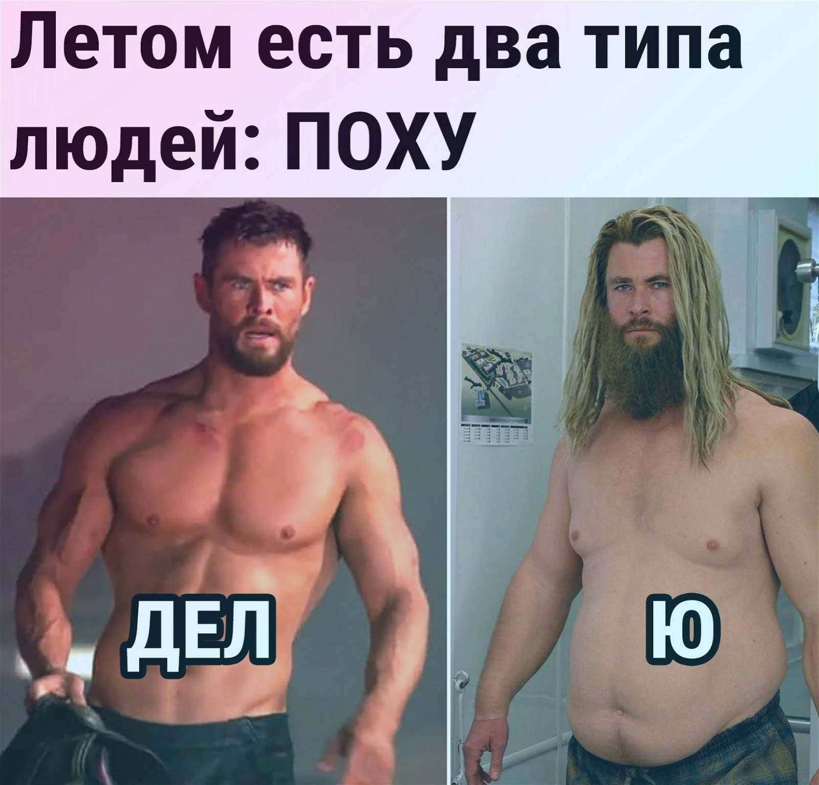 1600x1534, 221 Kb / Тор, пресс, жир, лето