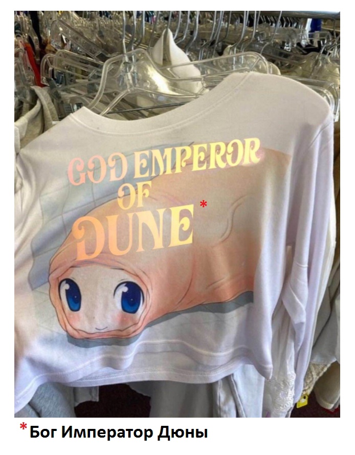 694x889, 173 Kb / топ, Дюна, Бог-Император, член