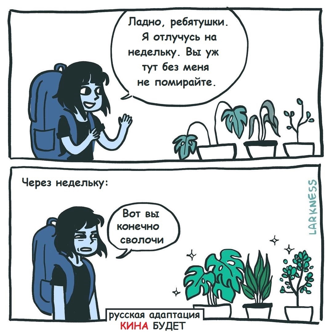 1080x1080, 277 Kb / поход, полив, растения, предательство