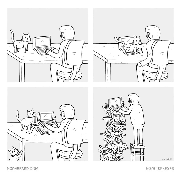 750x730, 142 Kb / ноутбук, клавиатура, кот