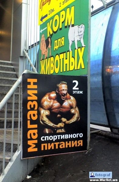 392x600, 50 Kb / магазин, культурист, корм, животное