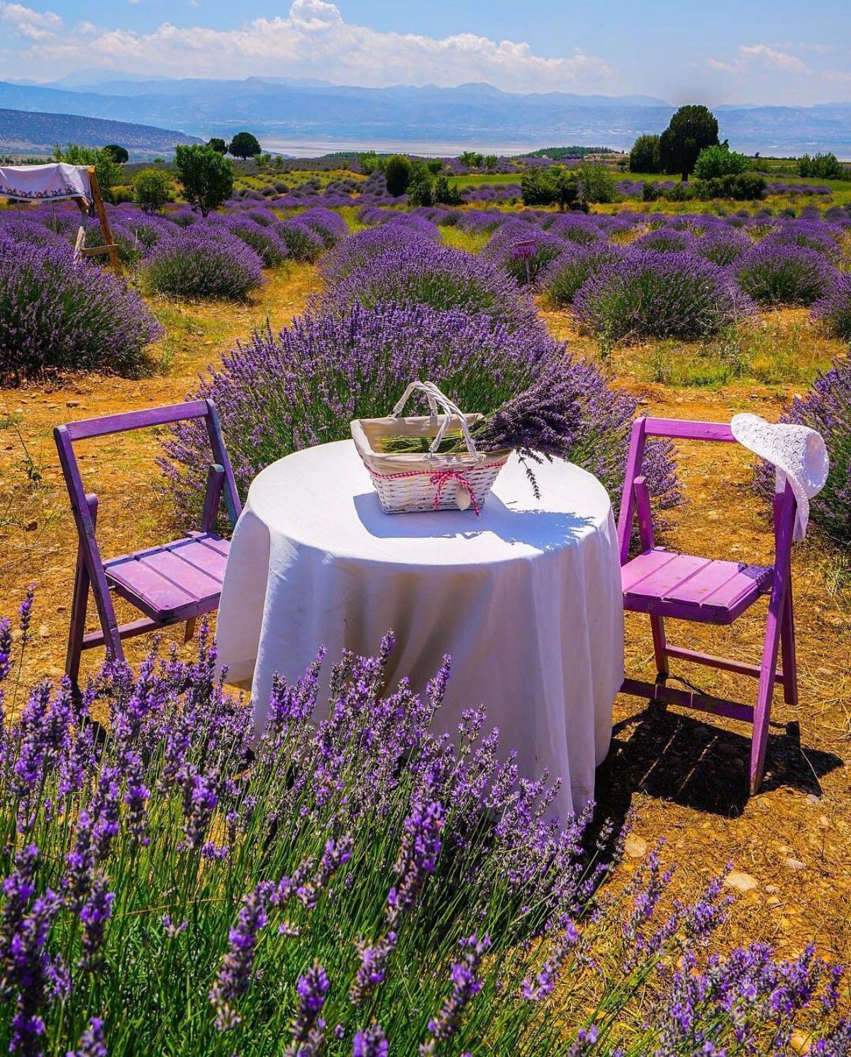 1200x1490, 521 Kb / лаванда, стол, стулья, шляпа