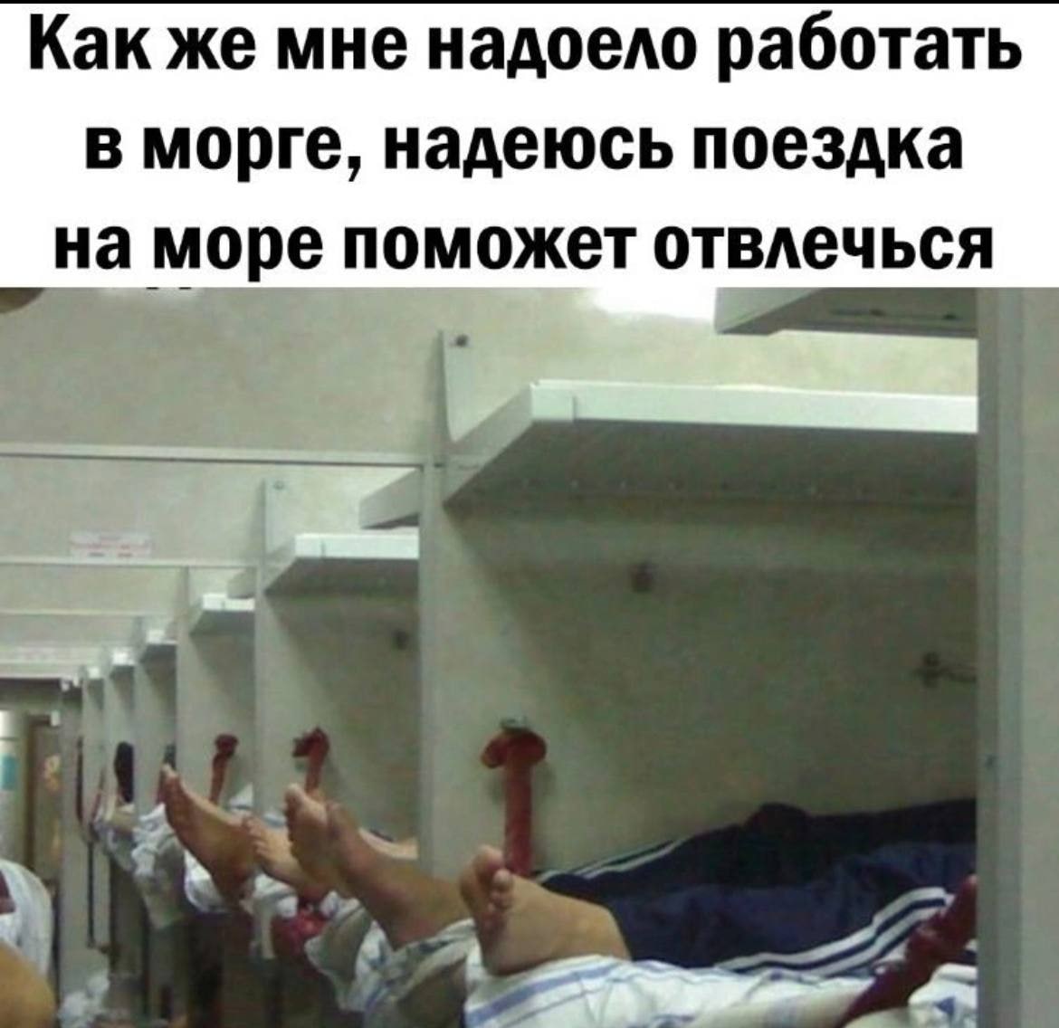 1170x1136, 108 Kb / поездка, море, вагон, плацкарт, морг