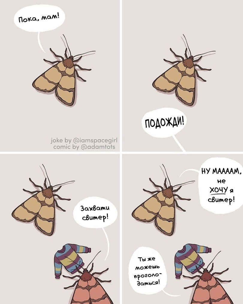 811x1015, 162 Kb / моль, свитер, еда