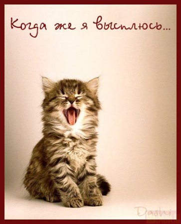 363x450, 29 Kb / котёнок, зевает