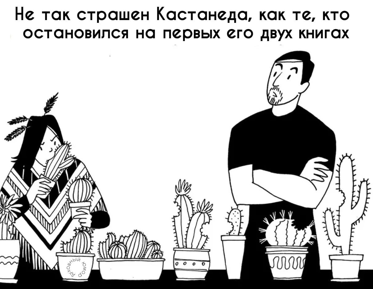 1210x936, 120 Kb / кактус, индеец, Кастанеда