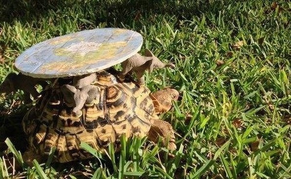 595x367, 155 Kb / черепаха, слоны, Земля